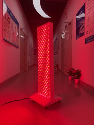 কেনা High Power 2000W Red + Near Infrared Light Panel – OEM Factory with Pulse Mode & Brightness Control অনলাইন উত্পাদন