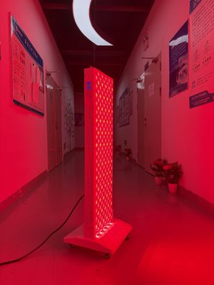 কেনা OEM Factory Supply 2000W Red Light Therapy Panel – 630/660/810/830/850nm Wavelength Options অনলাইন উত্পাদন