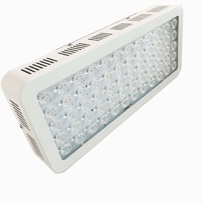 কেনা ডিআইআর 850nm 300W ফুল বডি রেড লাইট থেরাপি ডিভাইস হতাশার জন্য অনলাইন উত্পাদন