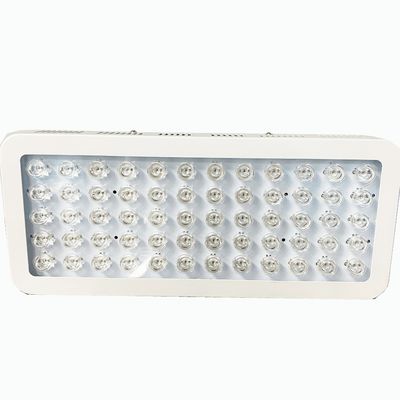 কেনা হাঁটুতে ব্যথার জন্য 300W 850nm রেড লাইট এবং কাছাকাছি ইনফ্রারেড লাইট থেরাপি অনলাইন উত্পাদন