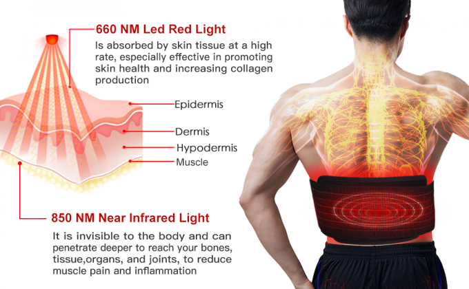 ওজন হ্রাস 850nm LED লাইট থেরাপি মেশিন ইনফ্রারেড লাইট বডি প্যাড মোড়ানো বেল্ট 0