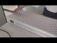 600W রেড লাইট থেরাপি প্যানেল