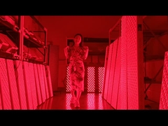 3000w লাল আলো থেরাপি প্যানেল