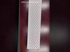 1000W লাল আলো থেরাপি প্যানেল