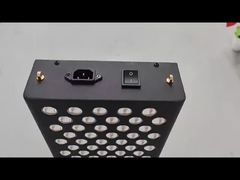 1000 ওয়াট এন্টি এজিং রেড লাইট থেরাপি মেশিন 660nm 850nm ডিভাইস