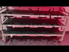 অ্যান্টি এজিং লেজার লিপো ৬৬০nm ৮৫০nm রেড লাইট থেরাপি বেল্ট