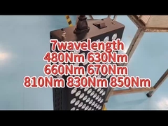 660nm 850nm AC রেড লাইট থেরাপি মেশিন ব্যক্তিগত ব্যবহারের জন্য ব্যথা উপশম