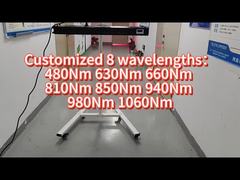 660nm 850nm 1000w ফুল বডি এলইডি লাইট থেরাপি বাণিজ্যিক হোম ব্যবহার